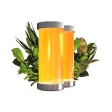 Load image into Gallery viewer, Double Down (Umi 2-pack)