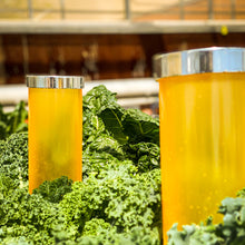 Load image into Gallery viewer, Green Thumb (Umi 4-Pack)