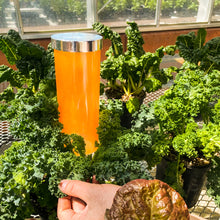 Load image into Gallery viewer, Umi Luminescent Lantern