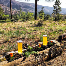 Load image into Gallery viewer, Double Down (Umi 2-pack)