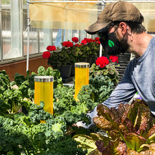 Load image into Gallery viewer, Umi Luminescent Lantern