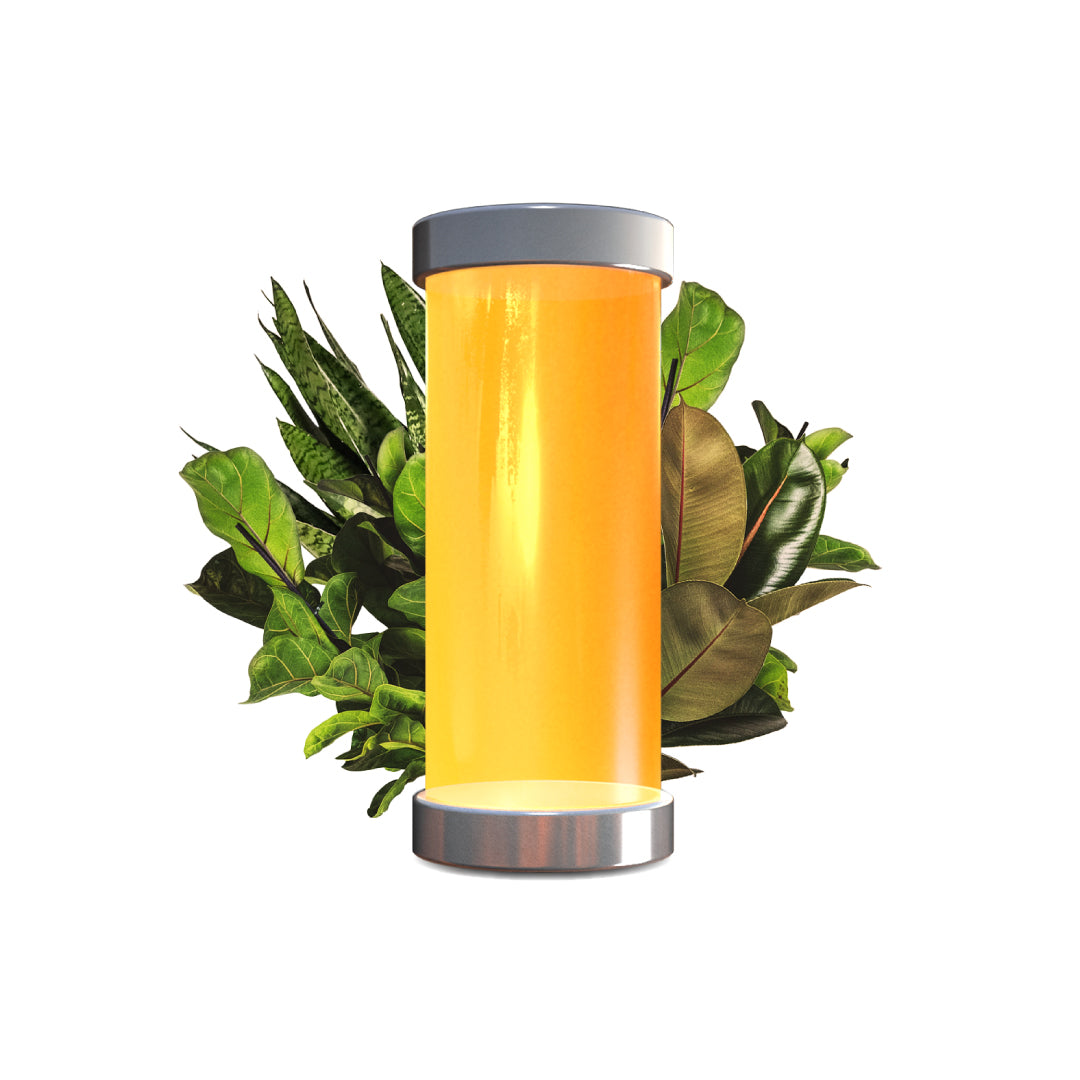 Umi Luminescent Lantern